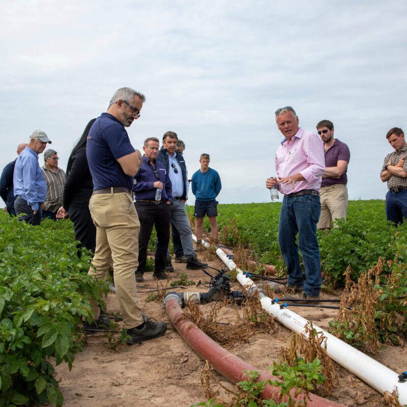 The Potato Open Day
8th July 2019